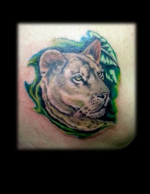 Lioness