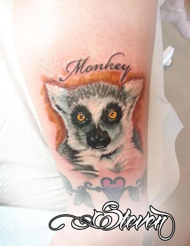 Lemur
