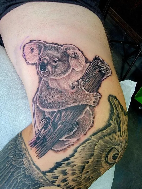 Koalaesque!!
