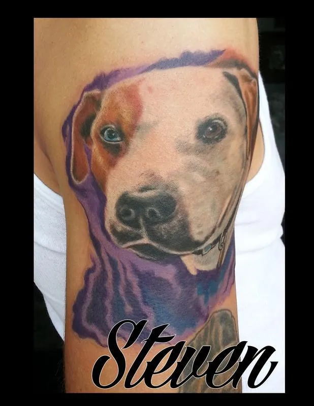 pitbull