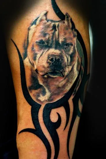 TRIBAL PIT !