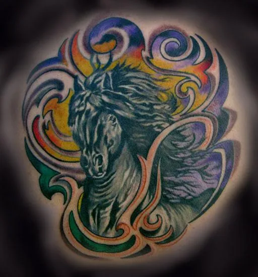 WILD HORSE !