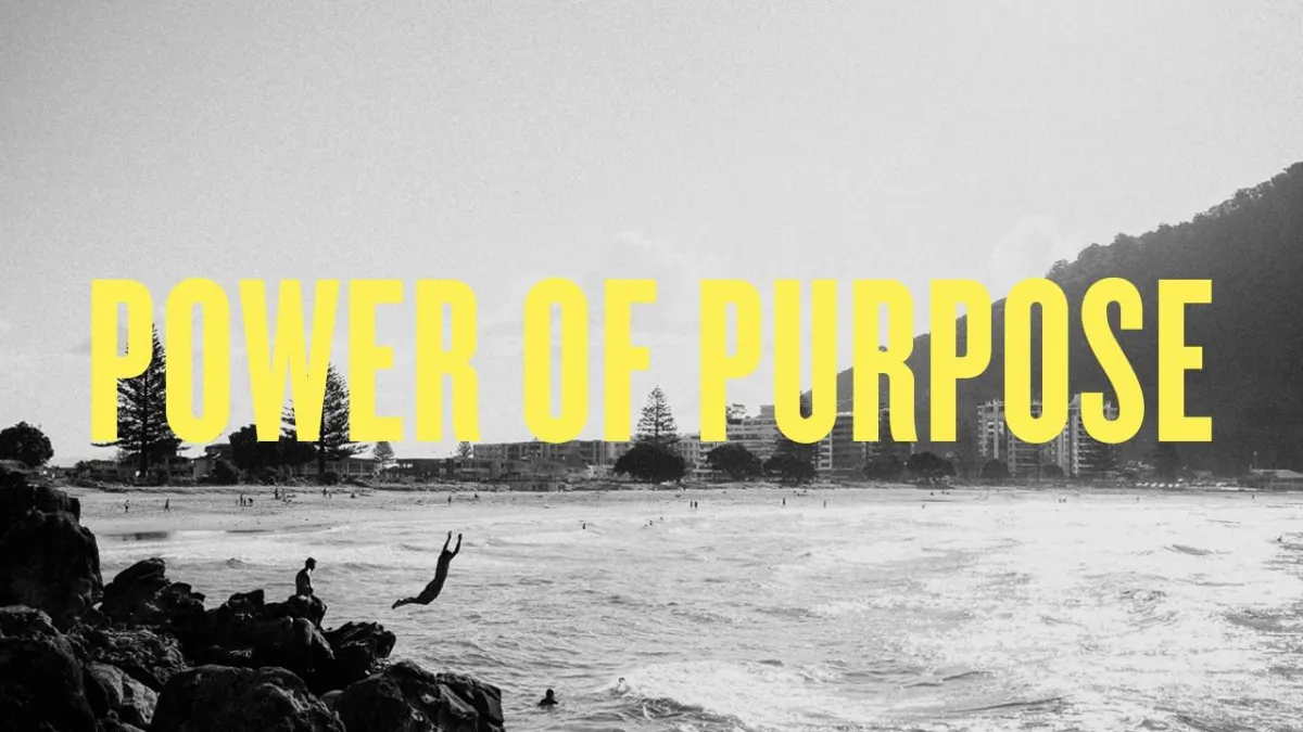 Business-Purpose