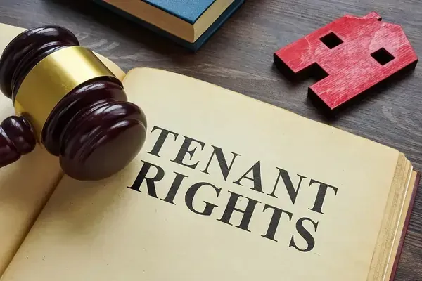 Renter reading tenant rights information on a tablet at home