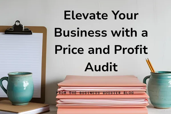 8. Elevate Your Business with a Price and Profit Audit