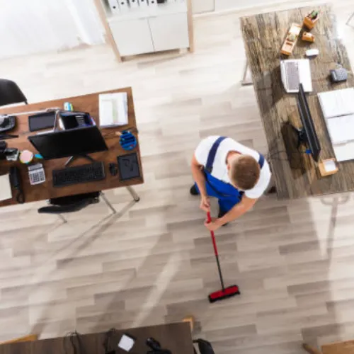 Professional home cleaners