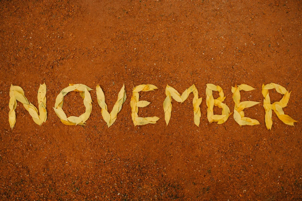 Before Nov 1 and After Nov 1