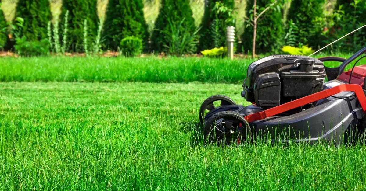 A close-up side view of a black and red lawn mower cutting tall green grass, with neatly trimmed grass and landscaped shrubs in the background.