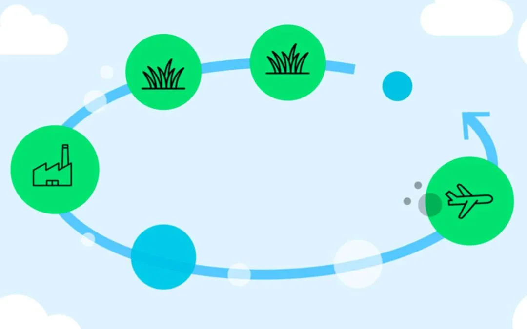 Sustainable Aviation Fuel