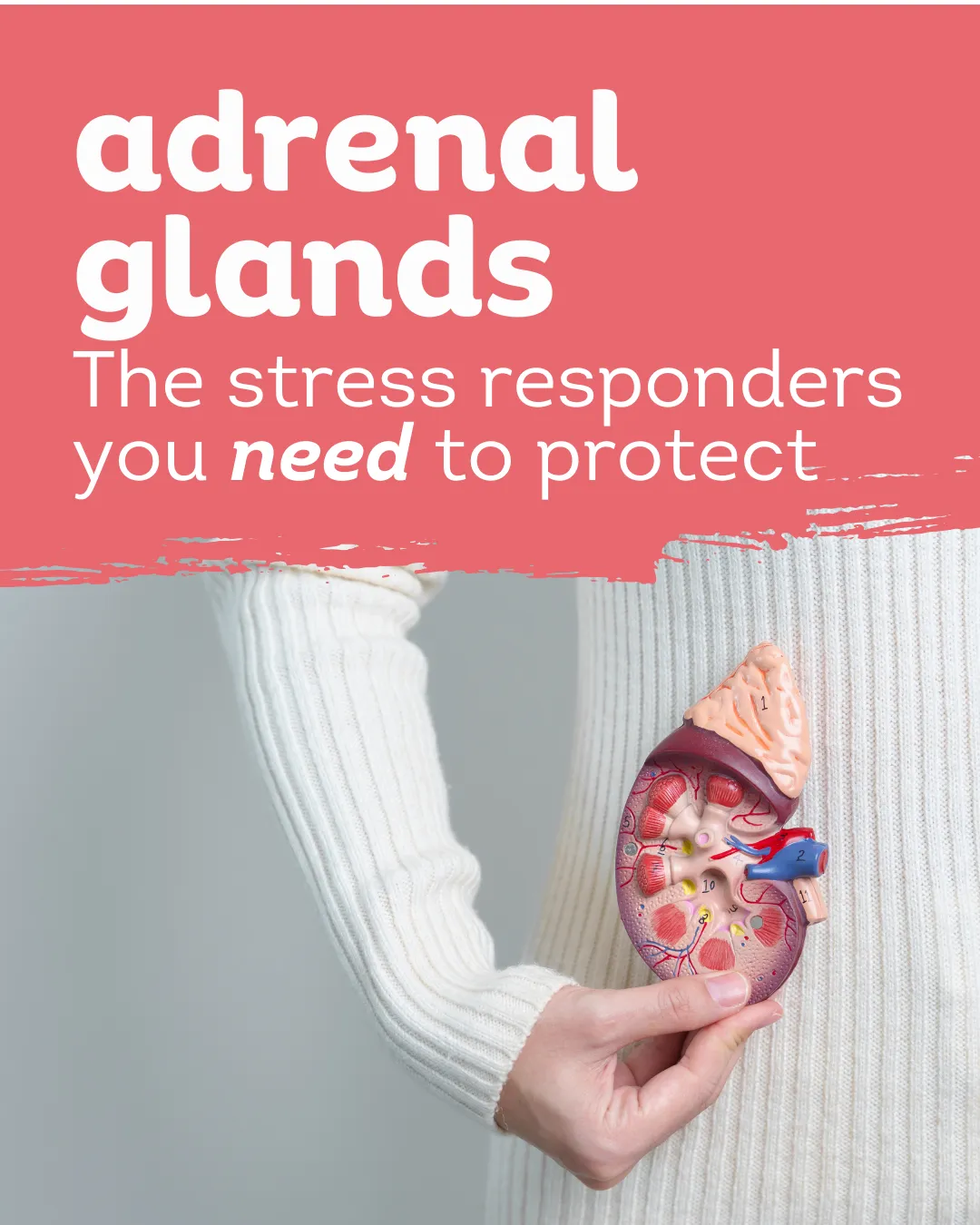 Feeling Exhausted? Here’s How to Support Your Adrenal Glands Naturally