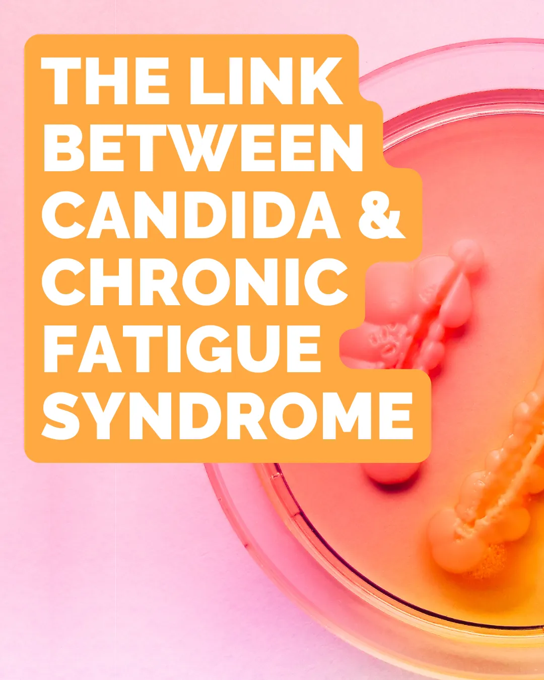 July 2025 Could Candida Be Draining Your Energy?