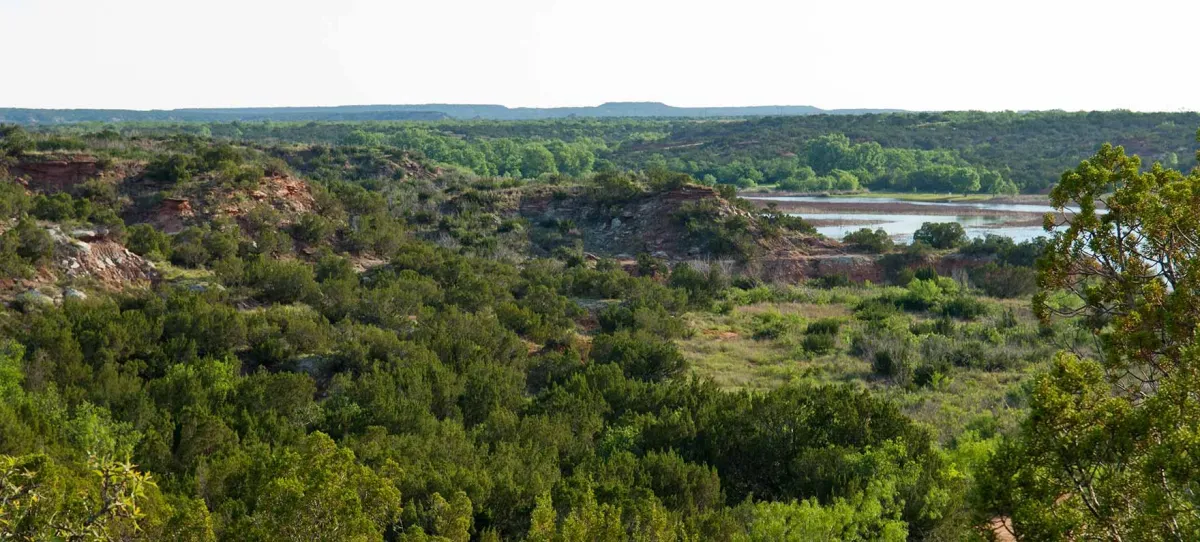Discover the Wild Beauty of Copper Breaks State Park