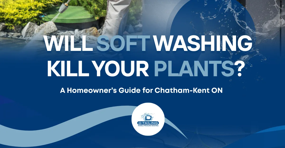 Will Soft Washing Kill Your Plants? What Chatham-Kent Homeowners Should Know