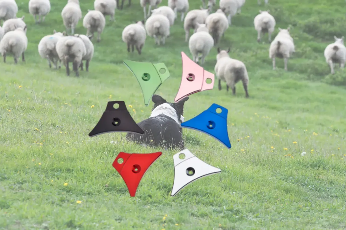 How to Use a Whistle to Communicate Clearly With Your Stock Dog