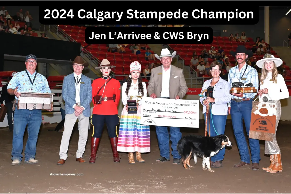 The $10K Step — An (almost) Hard Lesson from the 2024 Calgary Stampede World Stock Dog Championship