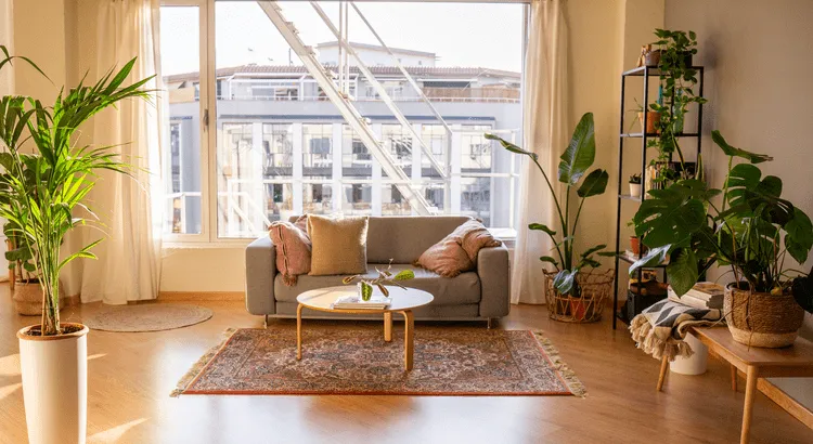Beautiful Couch with window behind