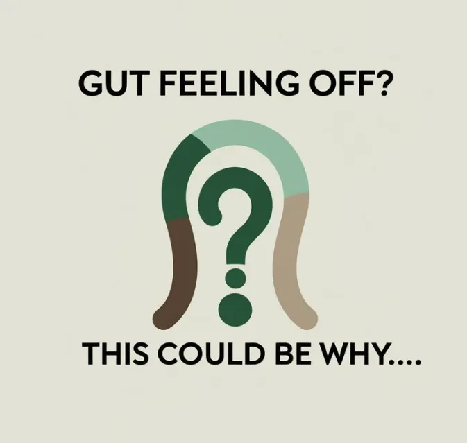 Gut Feeling Off? This Could Be Why…
