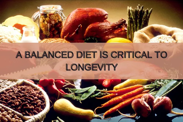 Balanced Diet