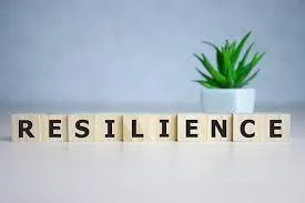 Resilience