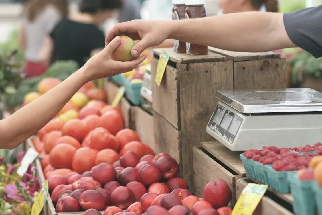 grocery