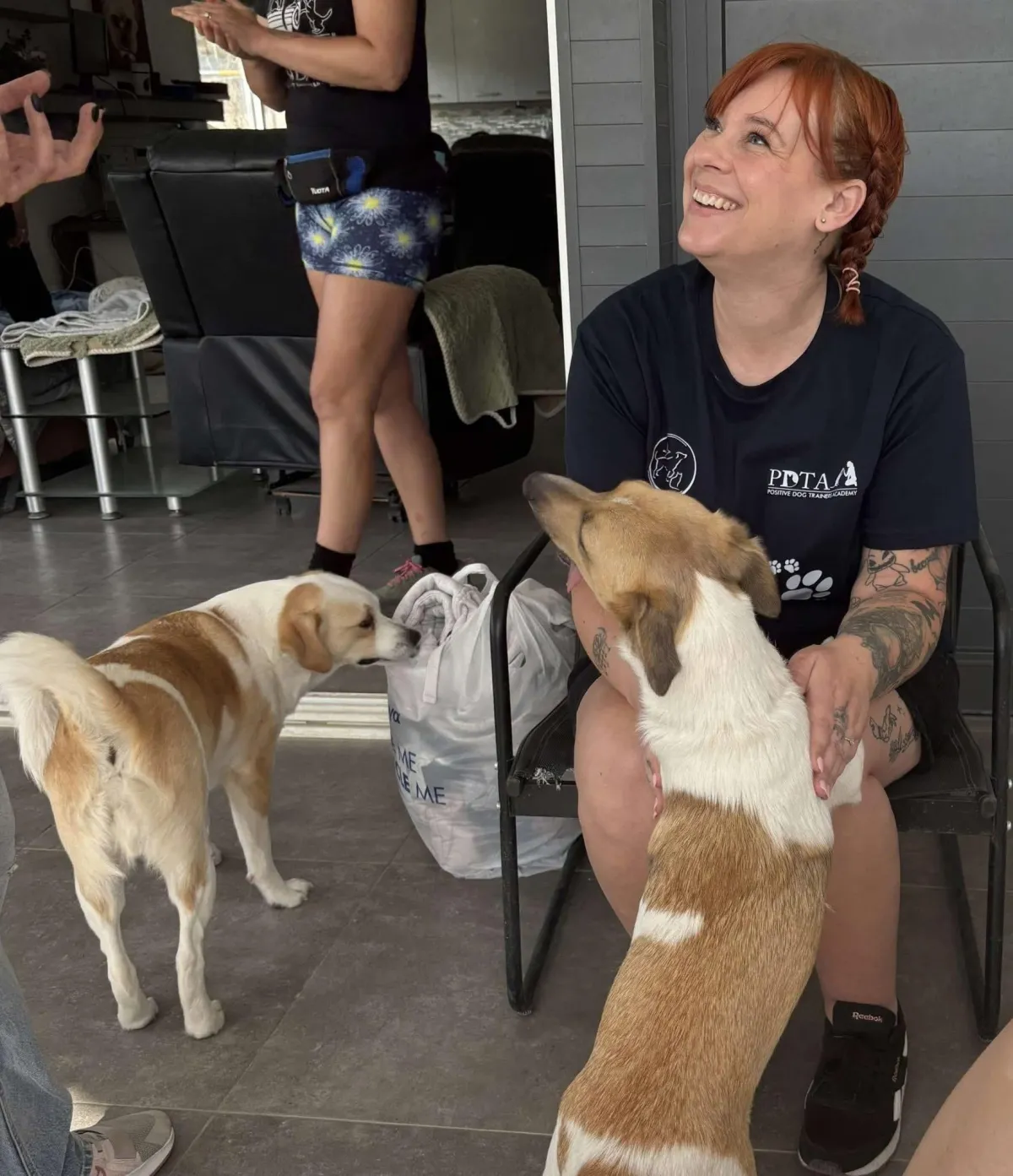 Female trainer and several Cyprus rescue dogs
