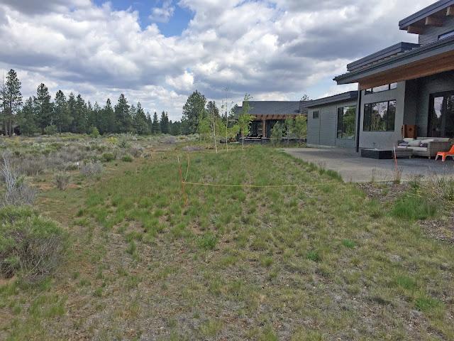More New Landscape Design