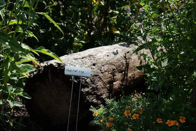 Certified Wildlife Habitat at Deschutes Brewery