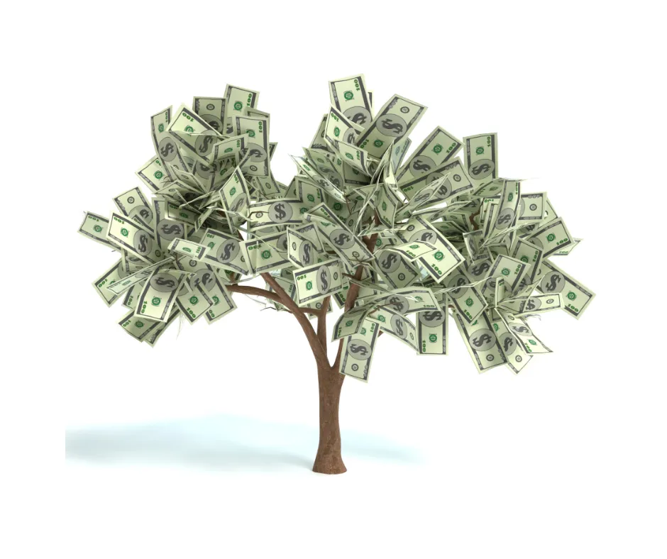 Money Beliefs