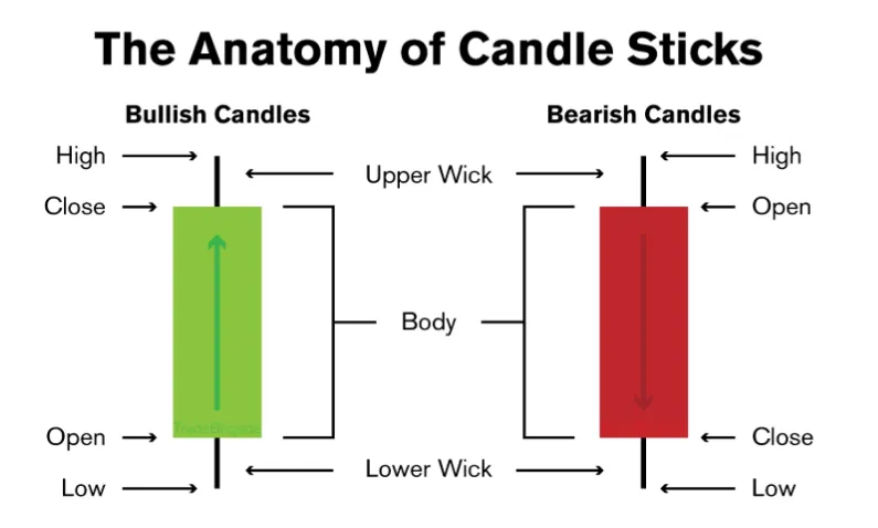 How to Read Stock Charts for Trading (2026 Guide)