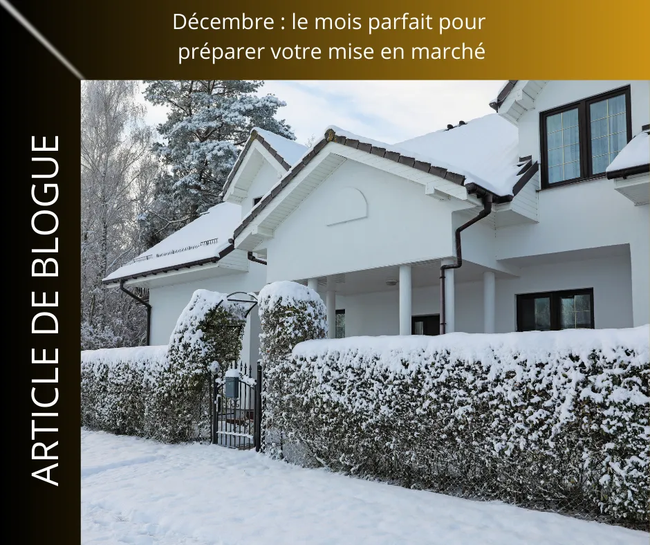 Décembre : le mois parfait pour préparer votre mise en marché