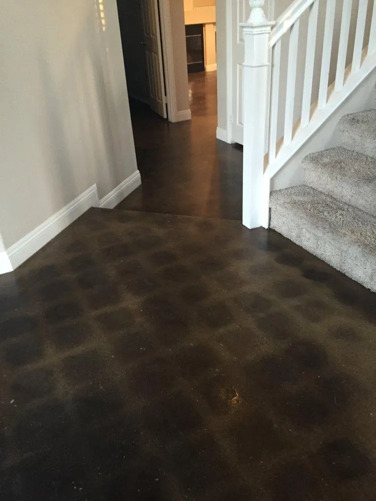 Polished concrete floor by Infinity Concrete Coatings