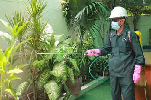 The Essential Guide to Fumigation Services