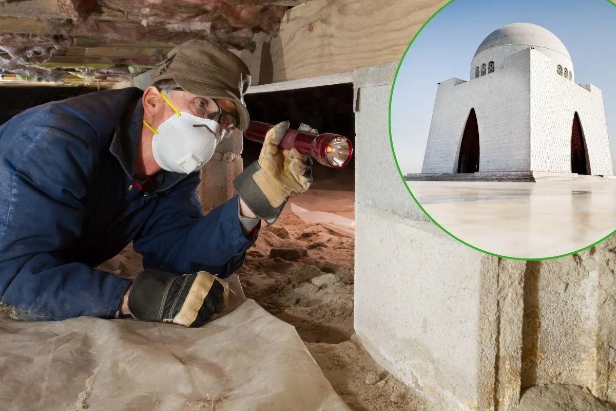 Termite Control Prices in Karachi (2025) | Price List