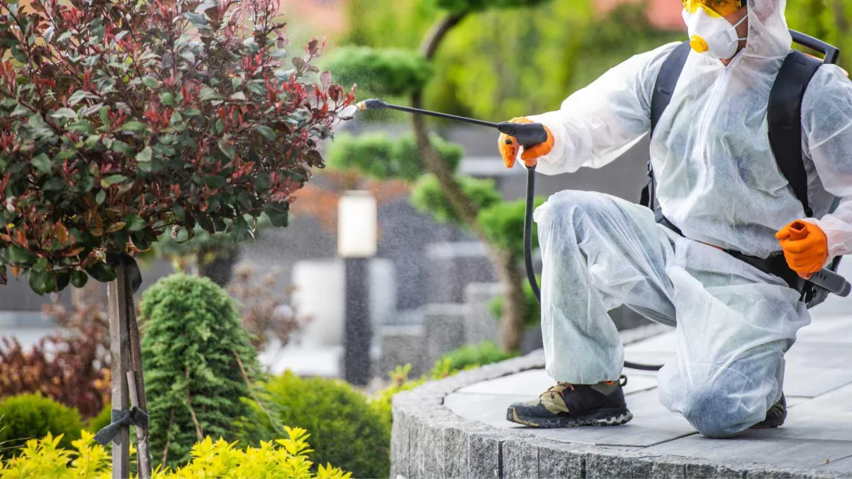 Pest Control Service Prices in Pakistan (2025)