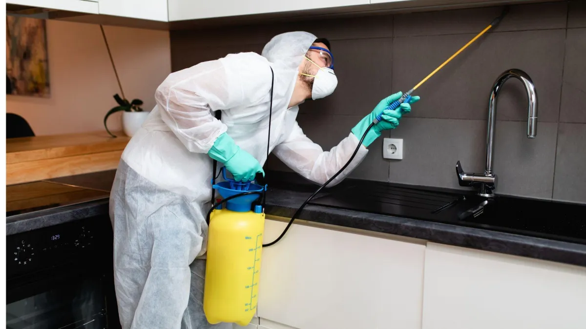 Pest Control Prices in Karachi in 2025 image