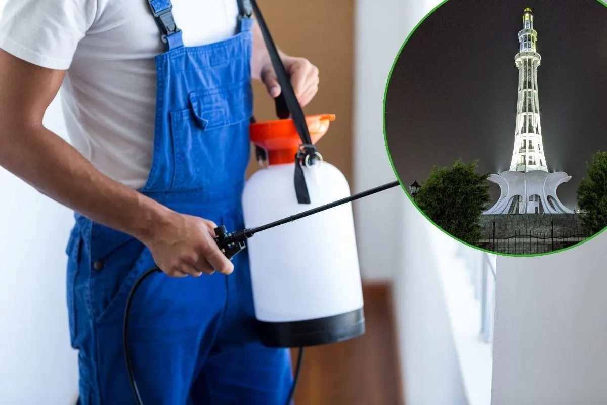 Pest Control in Lahore Price list 202