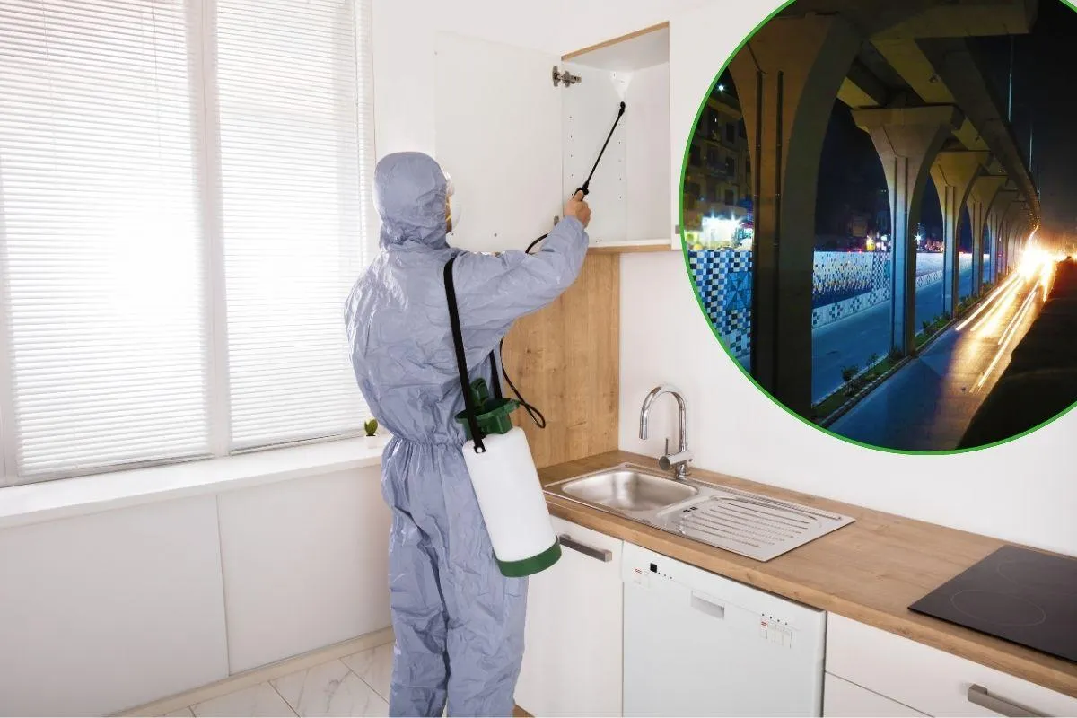 Pest Control Prices in Rawalpindi (2025) | Updated Prices Details