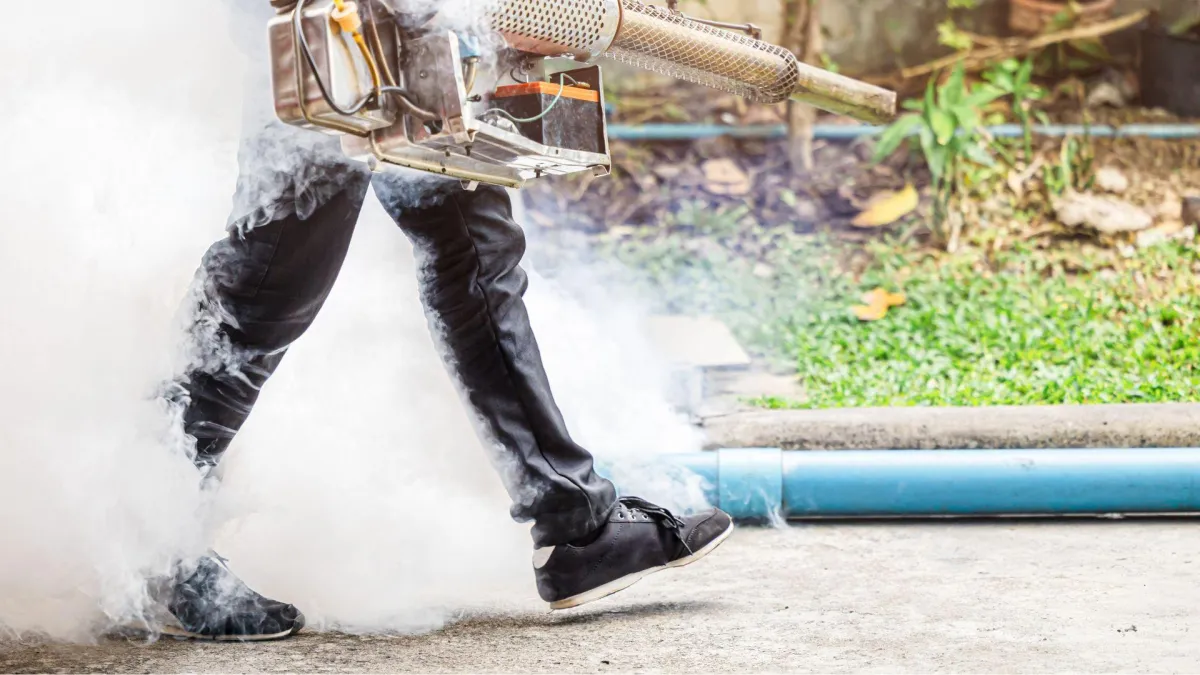 How to Avoid Unwanted Mosquitoes: Simple and Effective Tips