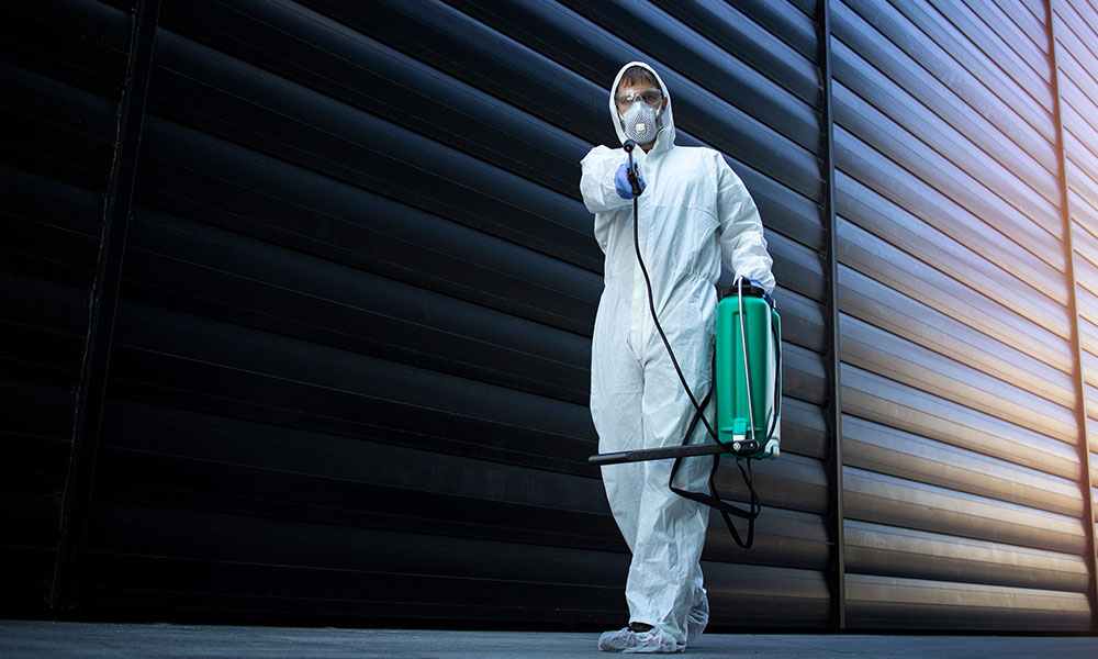 How ECO Services Gives The Best Pest Control Service For Your Home