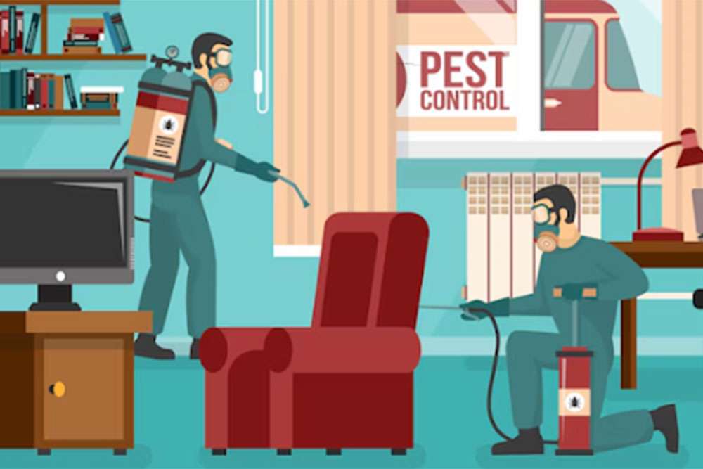 All You Need To Know About Fall Pests