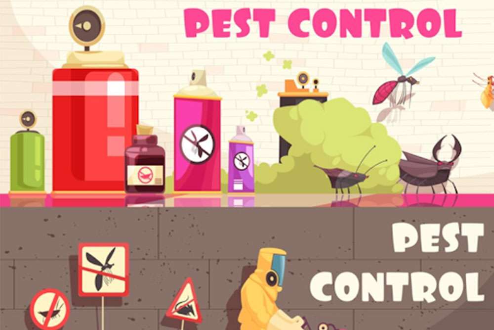Why is Safe Pest Control Needed