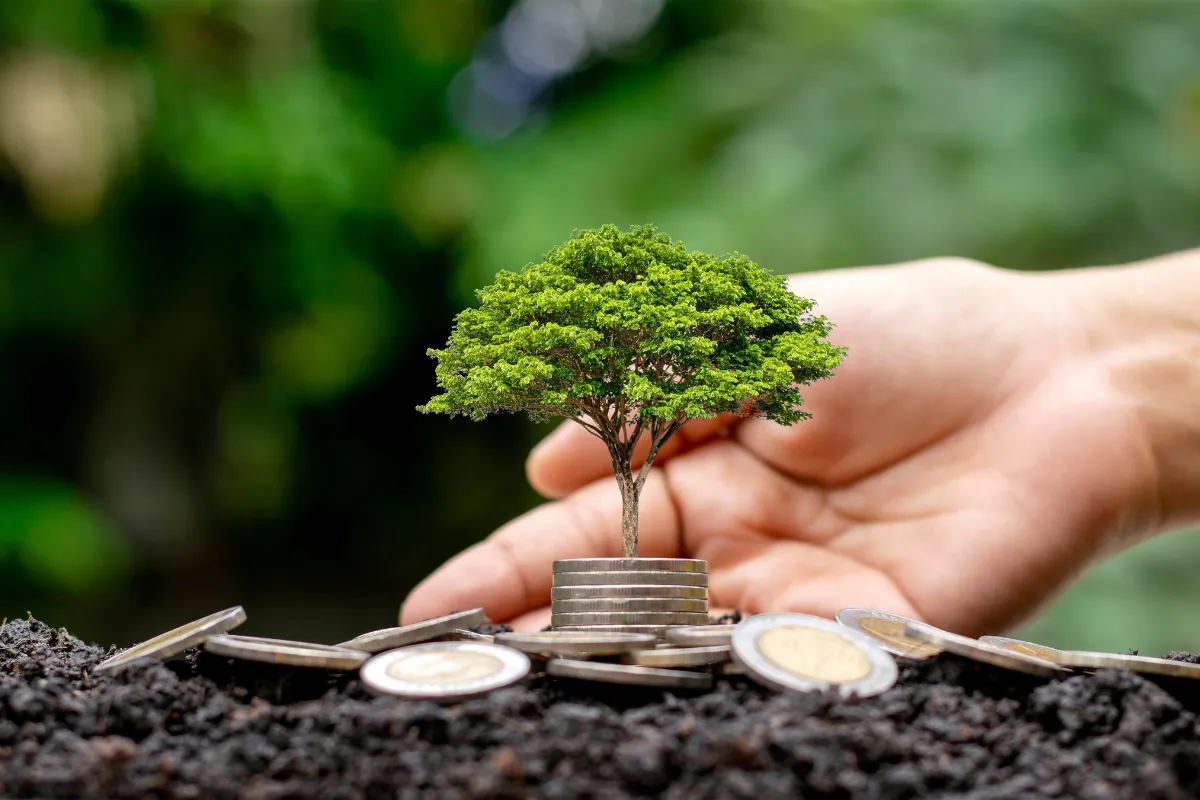 A plant on top of coins