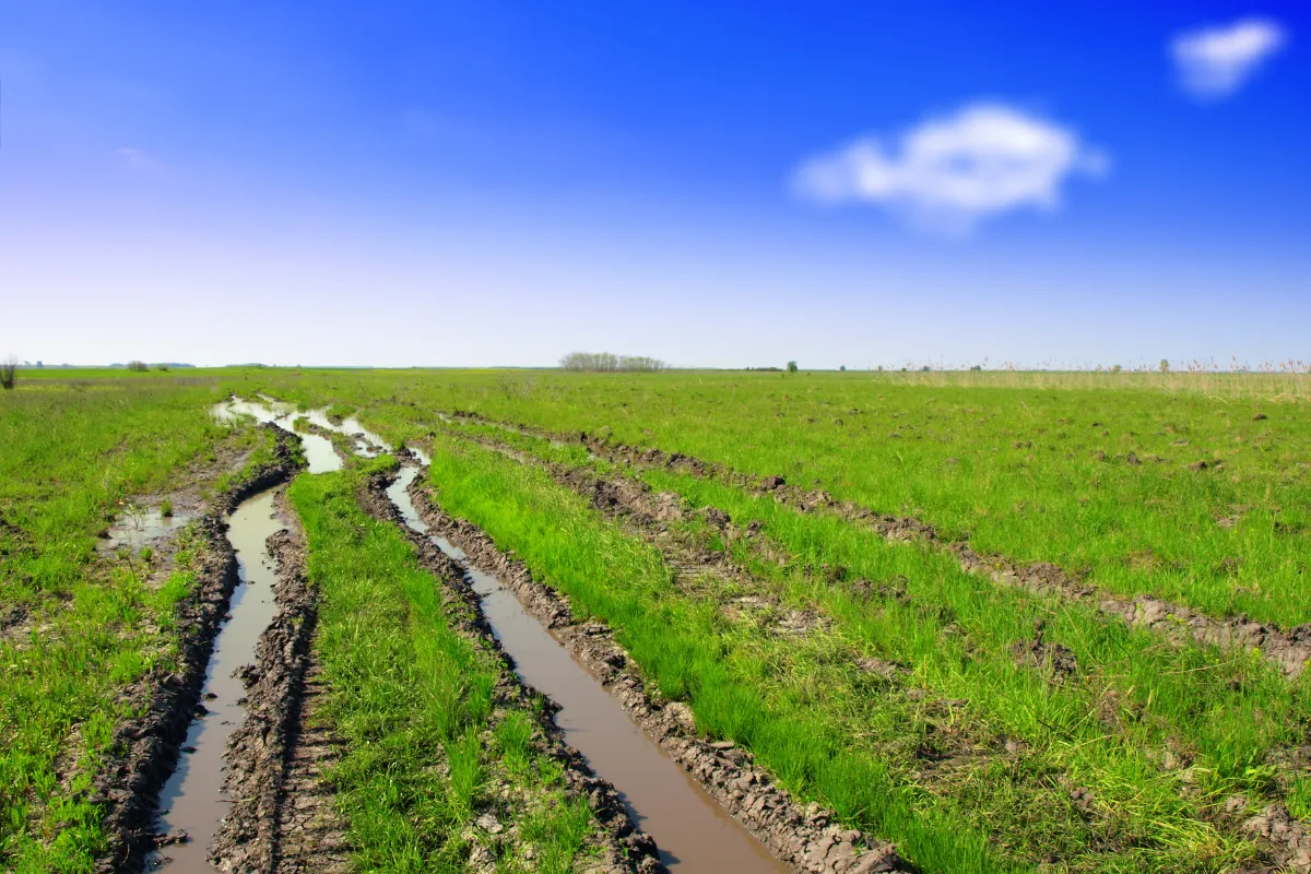 Ruts in a field