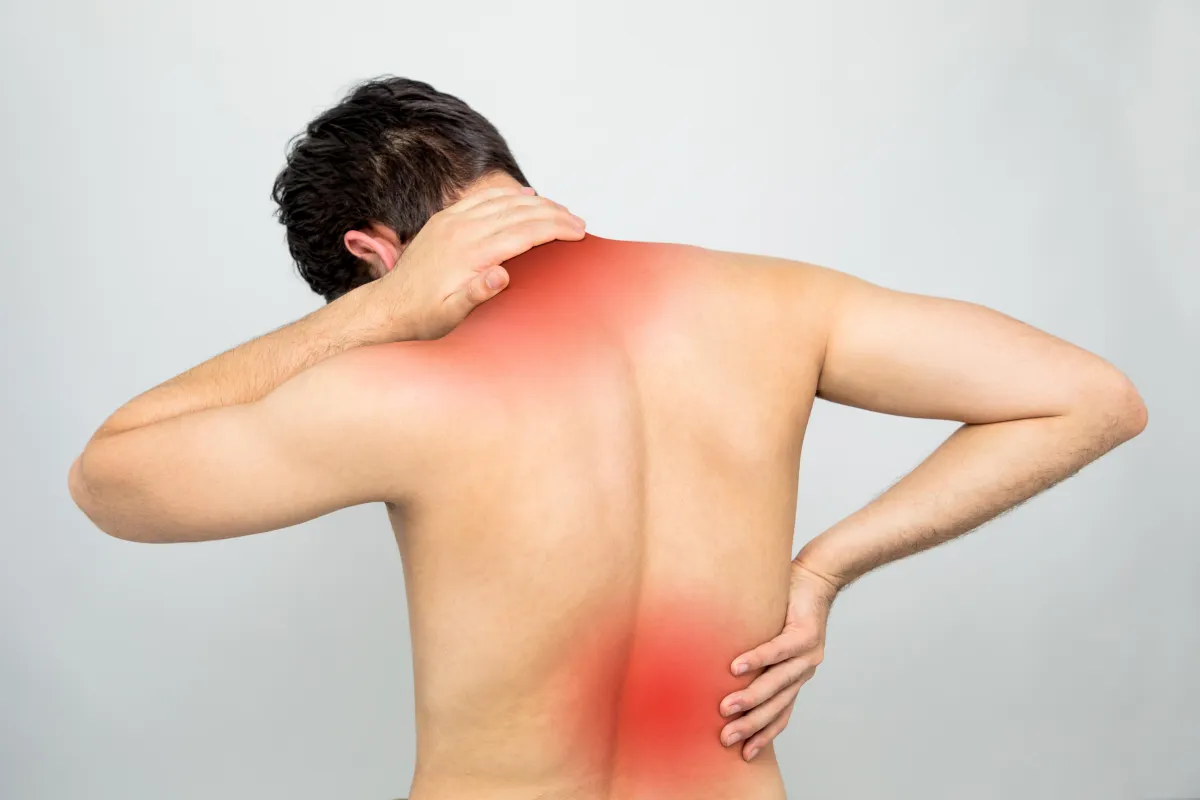 chronic back pain , back pain , physical therapy , chronic pain causes , pain relief , new jersey pt , physical therapy , njre