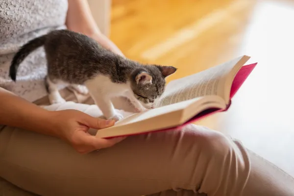 woman with book and cat