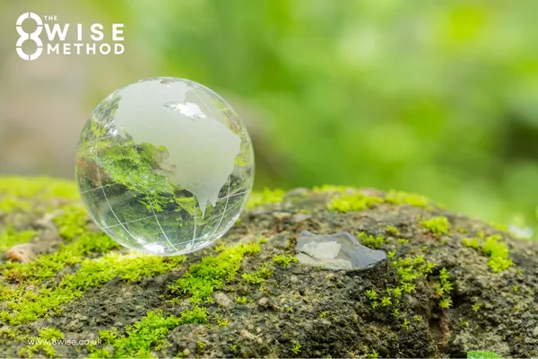Large water drop sat on top of a rock covered in green moss 