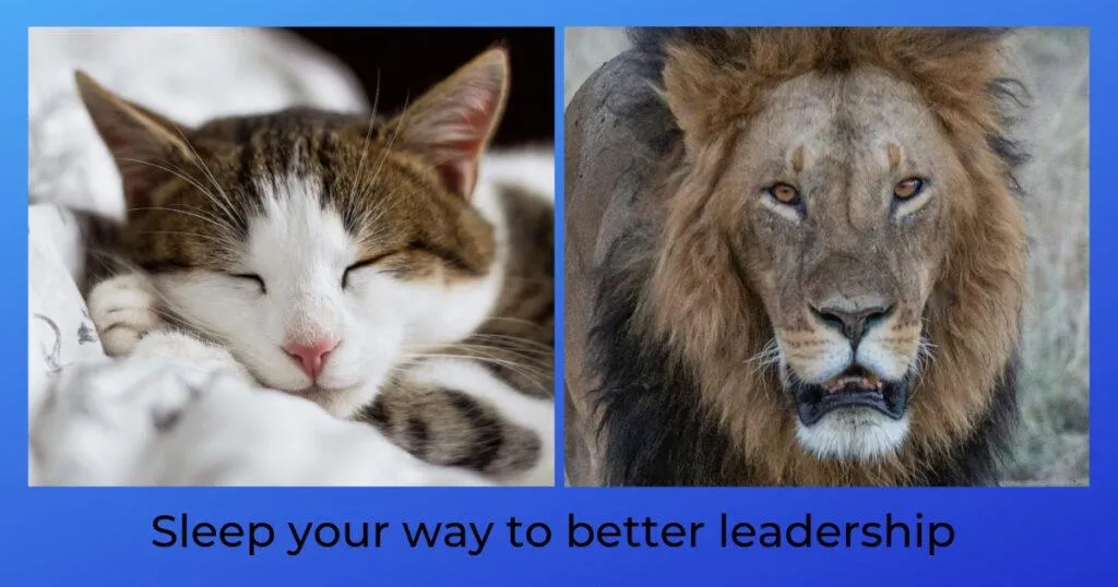 Better Leadership