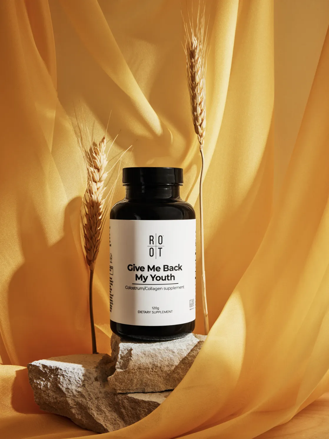 ROOT Give Me Back My Youth