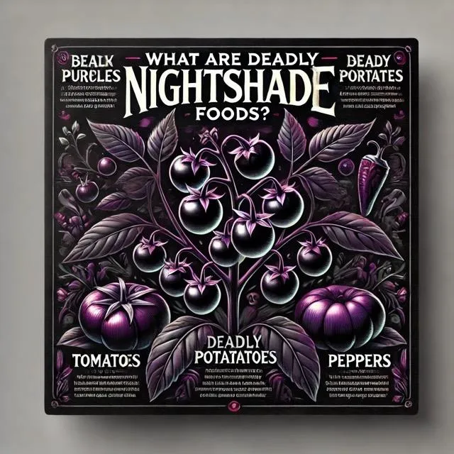 Deadly nightshade