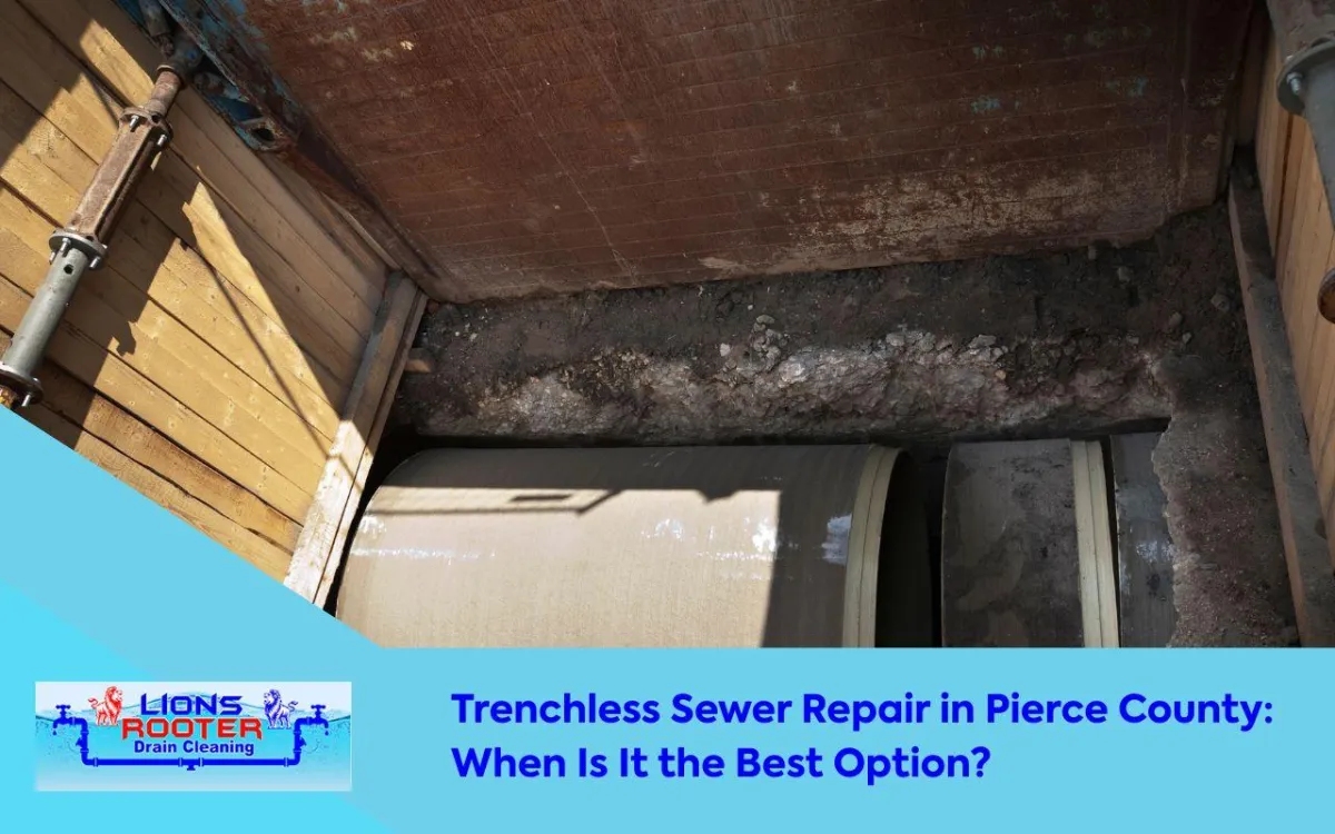 Trenchless sewer repair in Pierce County backyard